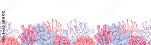 Photography Sea corals, seaweed with stones