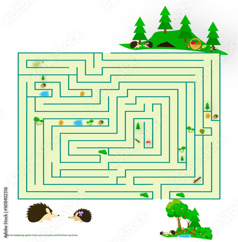 maze or labyrinth game