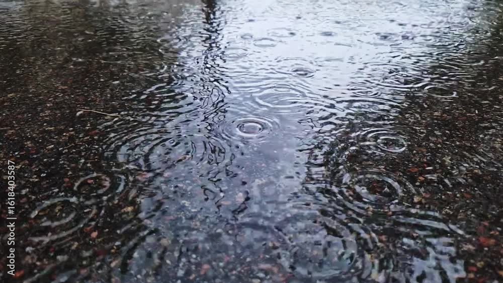 Rain puddles on the street, raindrops hitting the surface of the water. Video. Cool damp weather. Raindrops falling on a wet street. Close-up. Natural phenomenon Rain puddles on the street, raindrops hitting the surface of the water. Video. Cool damp weather. Raindrops falling on a wet street. Close-up. Natural phenomenon
