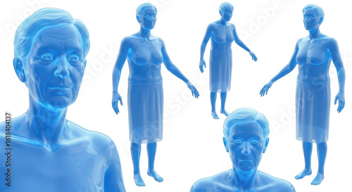 3D renderings of elderly figures showing anatomy in different poses against a clean white background for medical or scientific illustration