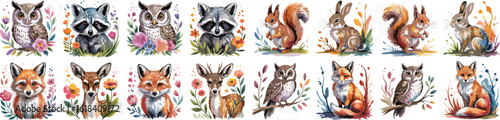 Watercolor Woodland Animal Illustrations Owls, Raccoons, Squirrels, Rabbits, Foxes, and Deer with Floral Accents