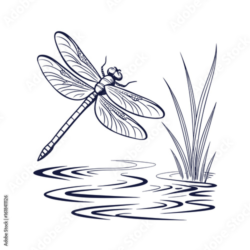 Elegant dragonfly silhouette with water reflection line art on white background