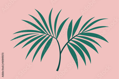 palm tree leaves