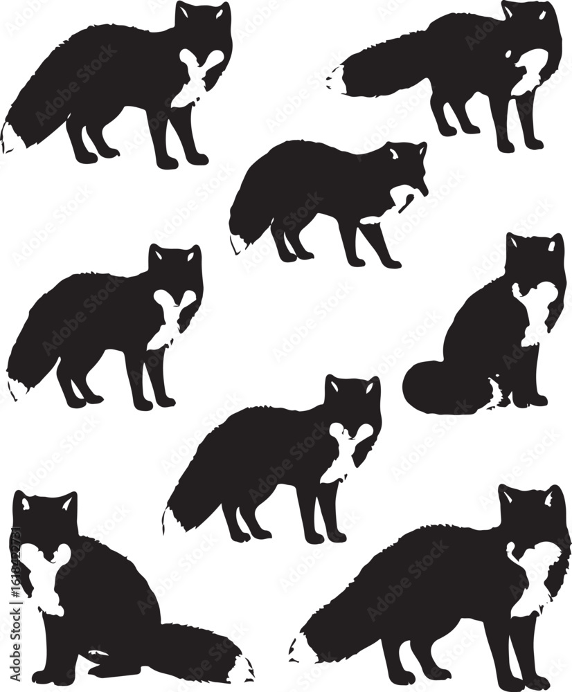Obraz premium Black Arctic fox silhouette art