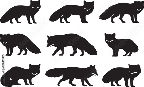 Black Arctic fox silhouette vector illustration