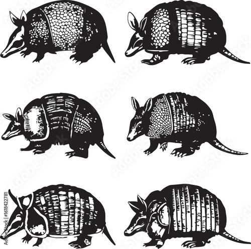 Black Armadillo silhouette vector illustration design