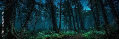 Panorama - Pandora's Enchanted Forest