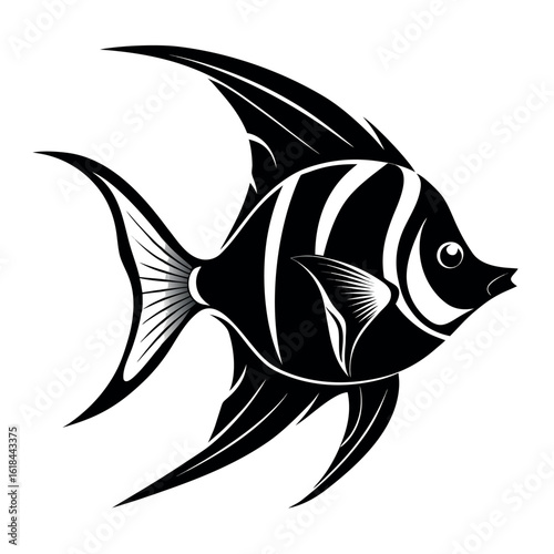 a beautiful silhouette angelfish on a white background
