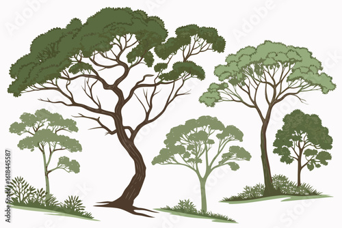 Variety of trees illustration with transparent background for design use