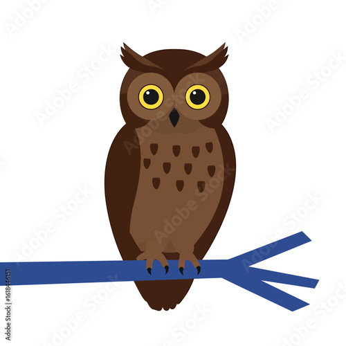 A brown owl with yellow eyes perches on a blue branch, looking directly forward.