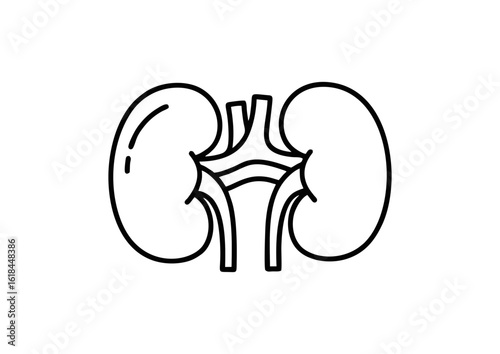 cartoon kidneys illustration 