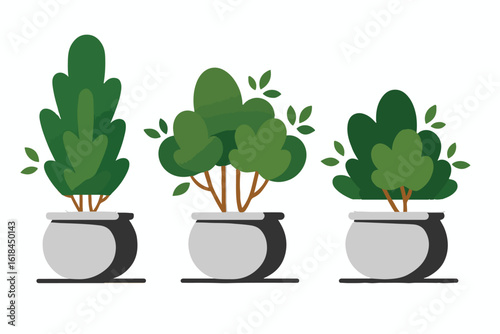 Green trees in flat style collection.books, banners and other designs suitable for infographics