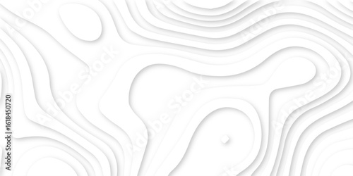 Abstract white and light gray overlapping paper cutouts background with layered design resembling a topographic map and natural landscapes or artistic paper art techniques, with no distinct objects.