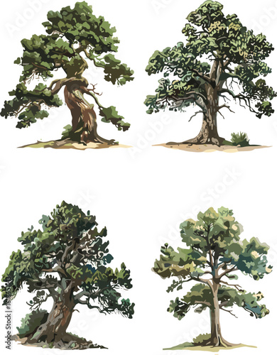 Pine trees set in color style and no background