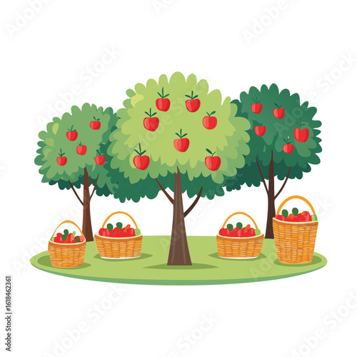 Apple Orchard Trees Fruit Harvest Autumn