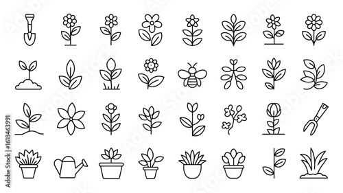 Vector art of collection of garden plants and flowers icons isolated on white background representing nature