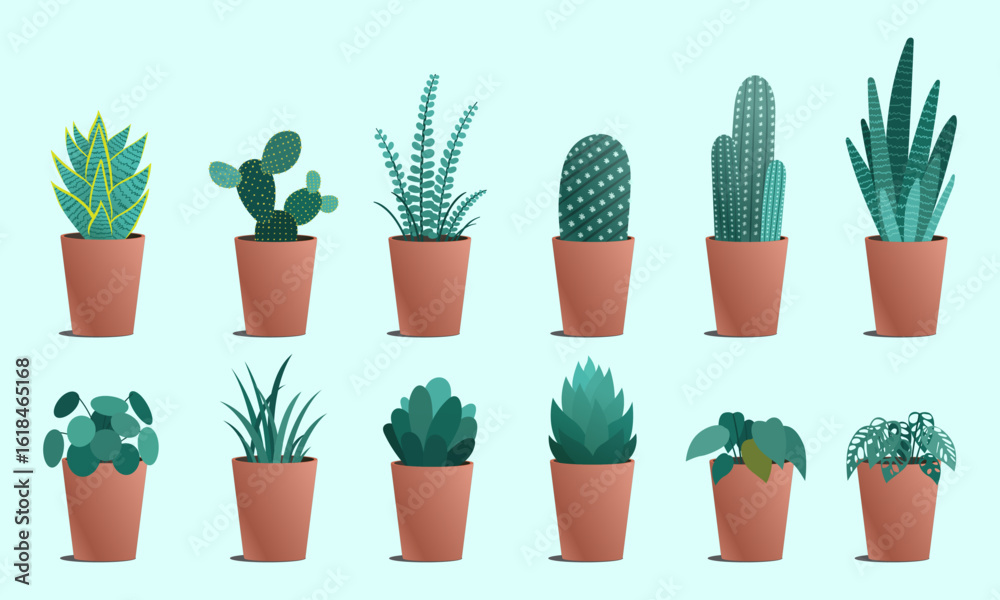 Fototapeta premium Indoor Plant and Cactus Collection in Terracotta Pots