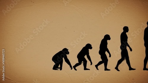 Silhouette of Human Evolution Progression Walking in Sequence on Textured Background