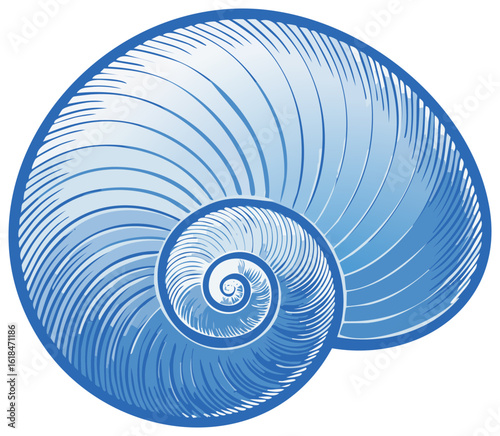 Blue Shell Illustration Graphic Sea Life Mollusk Spiral Ocean Aquatic Marine Wildlife Nature Print