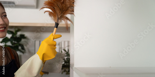 Quadro su tela Home Cleaning