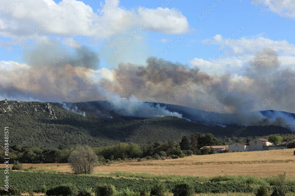 Fototapeta premium Thick smoke billows from a wildfire in the French countryside.