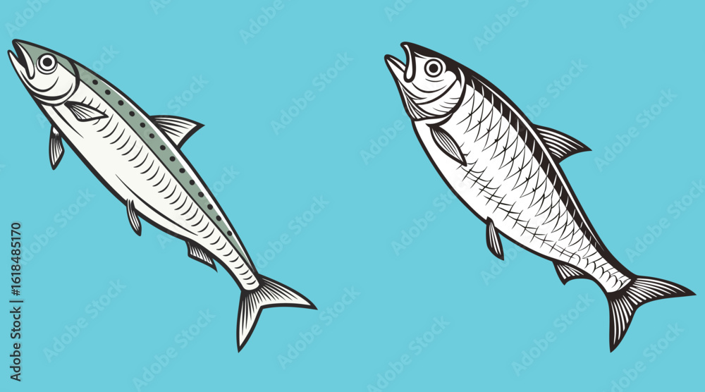 Obraz premium Bundle fish set art and illustrator eps 10 isolated on white background