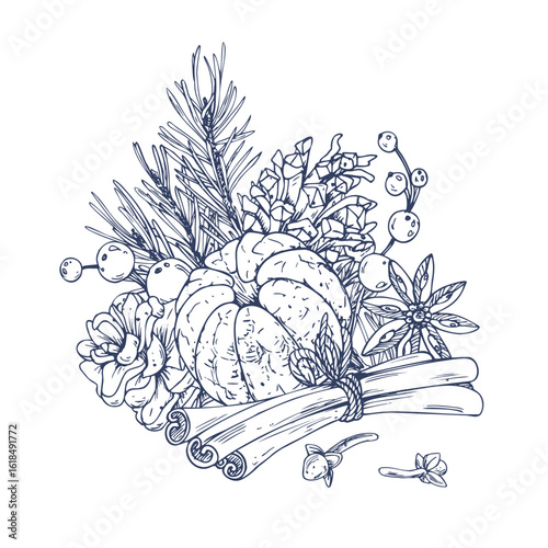 Hand drawn line art graphic illustration of Christmas composition with cinnamon, tangerines, pine, berries and cloves, perfect for cozy winter scenes and holiday decor.