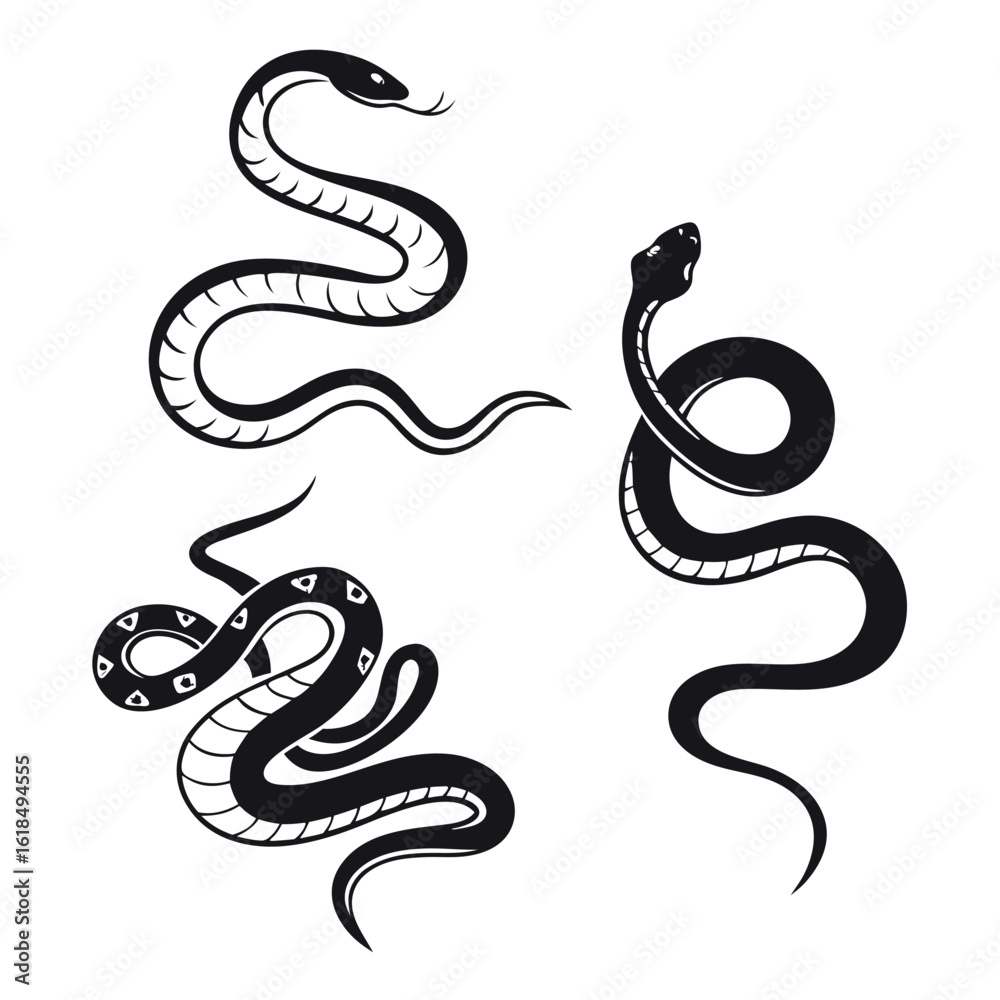 Fototapeta premium Stylized black snakes coiled and slithering silhouette