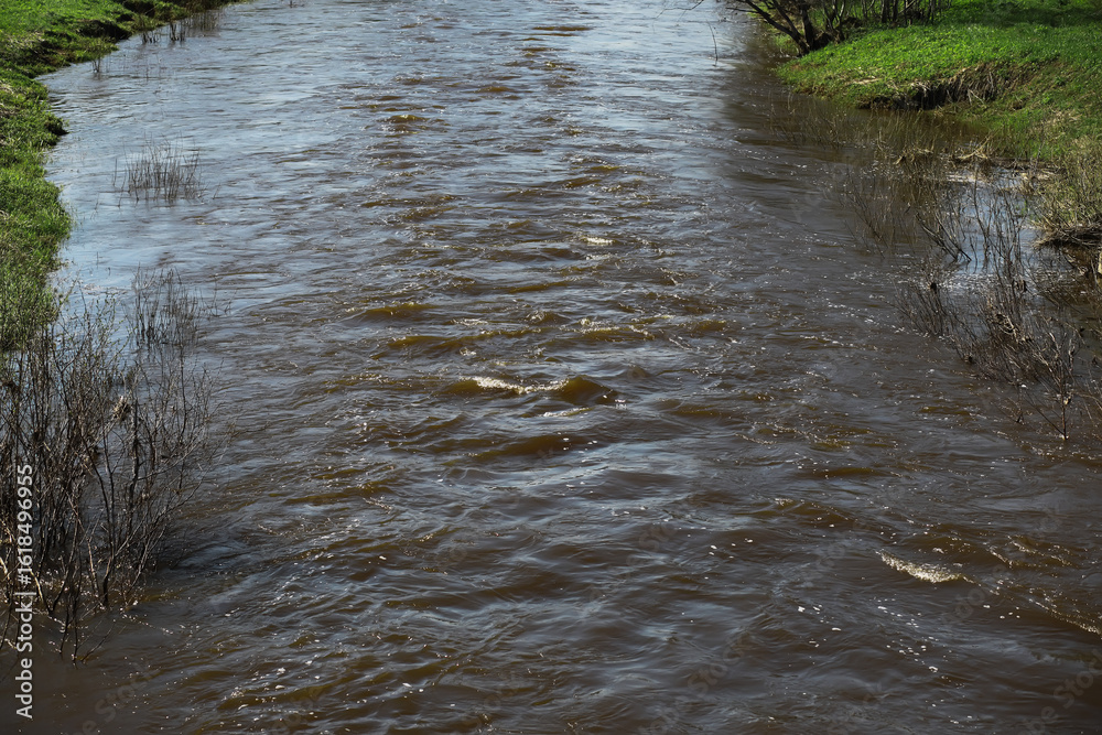 Fototapeta premium Serene River Flowing Through Lush Greenery on a Sunny Day