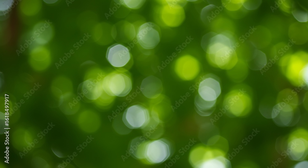 Fototapeta premium Soft green bokeh lights create a beautiful abstract natural background