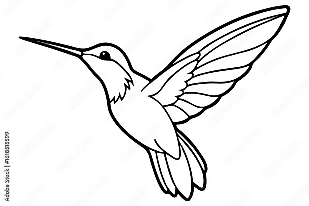 Obraz premium hummingbird in flight