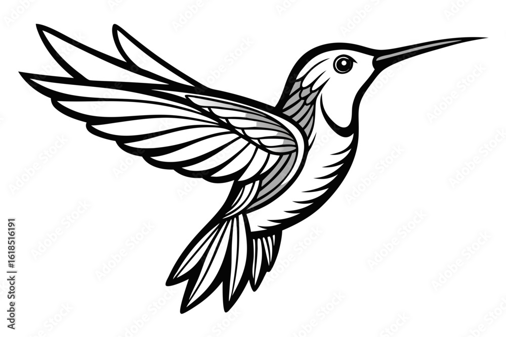 Fototapeta premium vector illustration of a bird