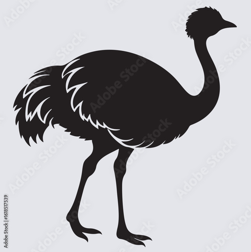 ostrich bird silhouette vector art illustration, ostrich isolated on white background