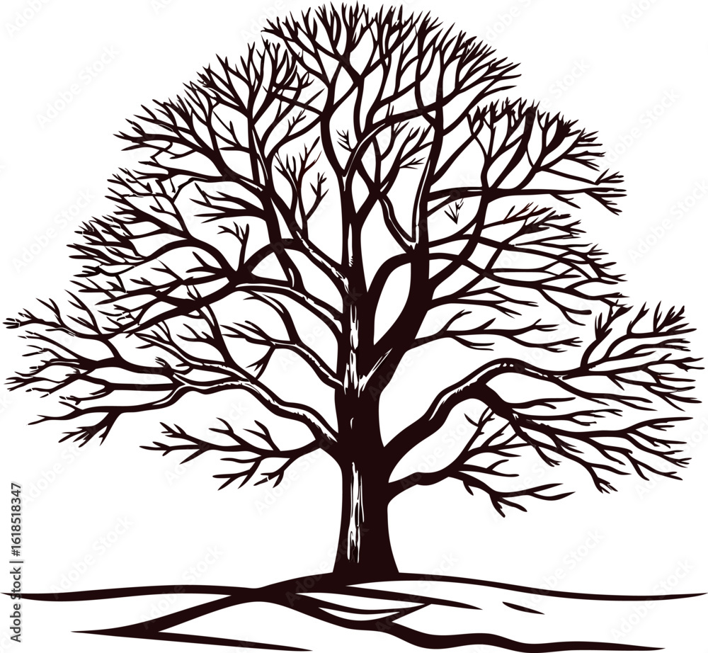 Obraz premium Detailed silhouette illustration of large leafless tree with branches and roots visible on clean white background
