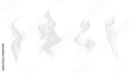 Obraz na plátně Realistic steam or smoke on hot tea, coffee, food