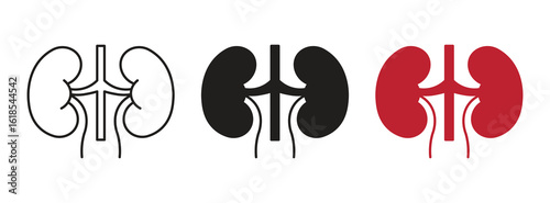 Set of human kidney vector icons. Silhouette with internal organs. Outline icons. Vector  illustration  .