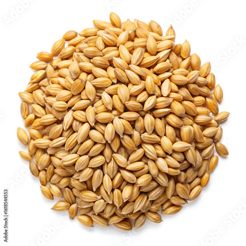 A pile of uncooked barley grains isolated on a white background