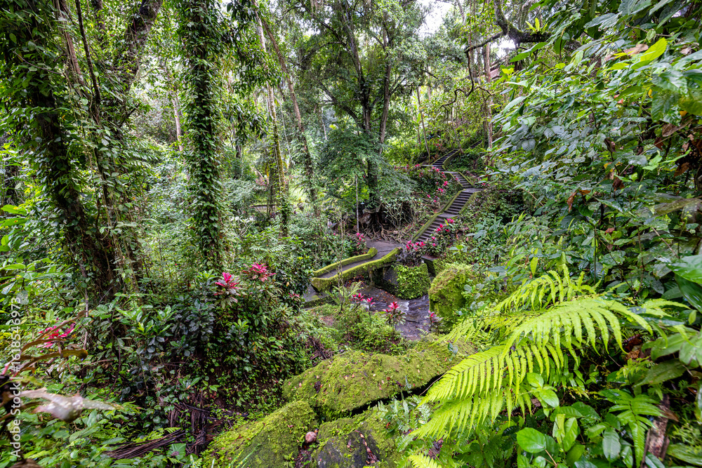 Fototapeta premium Magical Bali