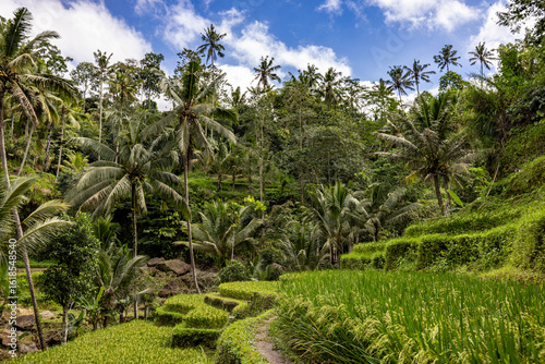 Wallpaper Mural Magical Bali Torontodigital.ca
