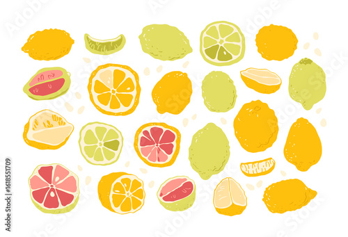 Lemon, lime, grapefruit, tangerine, lemon, orange, lemonade, color fruit illustration
