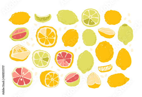 Lemon, lime, grapefruit, tangerine, lemon, orange, lemonade, color fruit illustration