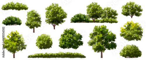  Vector watercolor green  tree or forest side view isolated on white background for landscape and architecture drawing,elements for environment or and garden,Shrub for section