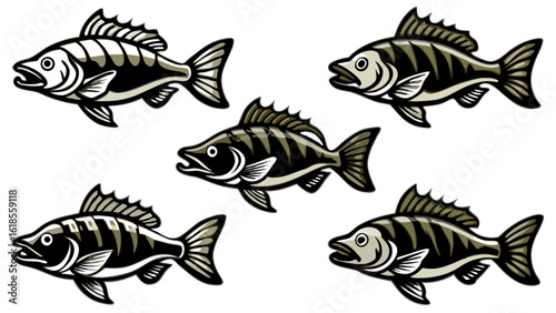 set of fish vector