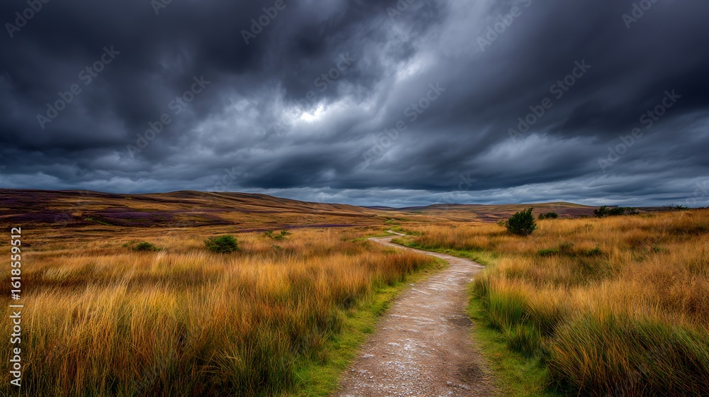 Fototapeta premium Dramatic Overcast Sky Over Moorland Peat Bog Path .