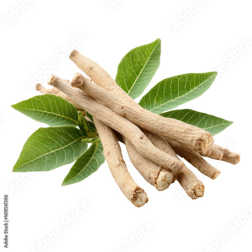 Dried ashwagandha roots with green leaves natural herbal, Isolated On White, Png Transparent, Cut Out