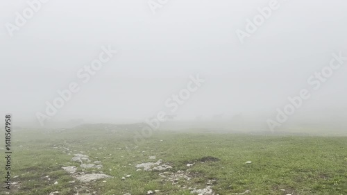 Misty landscape with a herd of horses running away from hail in the mountains