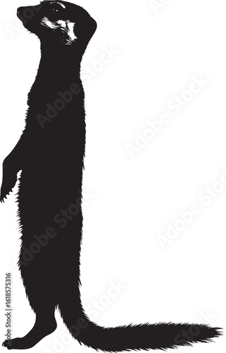 Meerkat on High Alert Body standing upright, front legs elevated, with its head turned toward a noise or possible threat. Full-length silhouette black vector design.