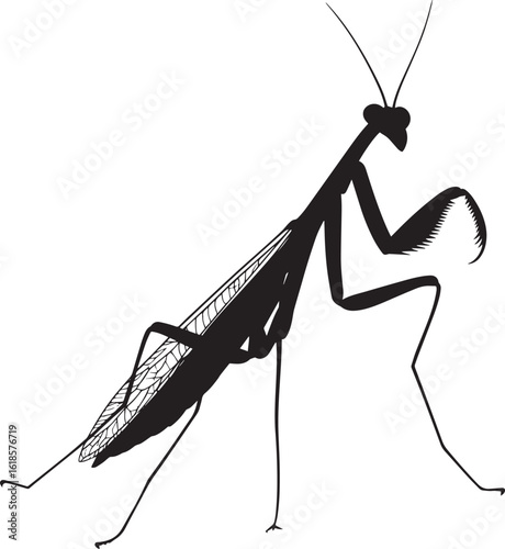 Praying Mantis in a Reaching Position Body elongated forward with forelegs extended and antennae aligned with the movement. Full-length silhouette black vector design.