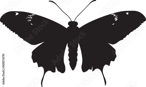 Moth Resting with Wings Spread Wings opened slightly, body resting on a surface with legs tucked underneath. full length silhouette black vector illustration