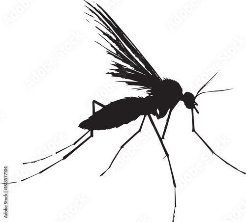 Mosquito Flying Wings spread and rapidly flapping with body elongated and legs tucked under. full length silhouette black vector illustration
